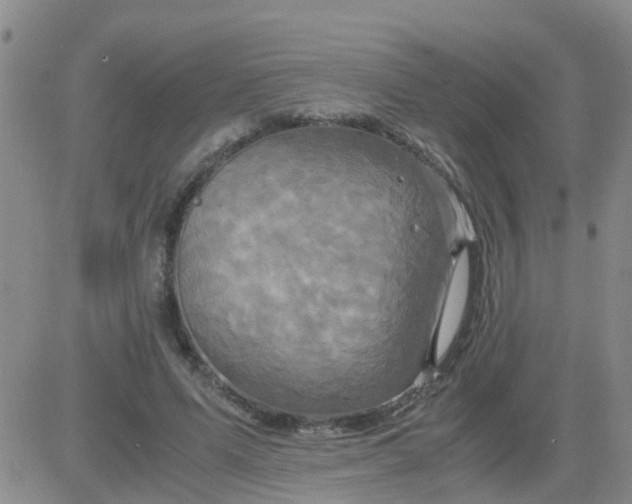 X0000084010591200703022033