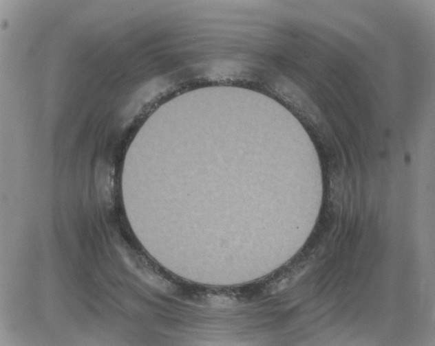 X0000084010592200703022033