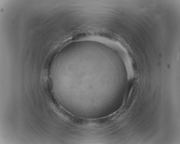 X0000084010593200703022033