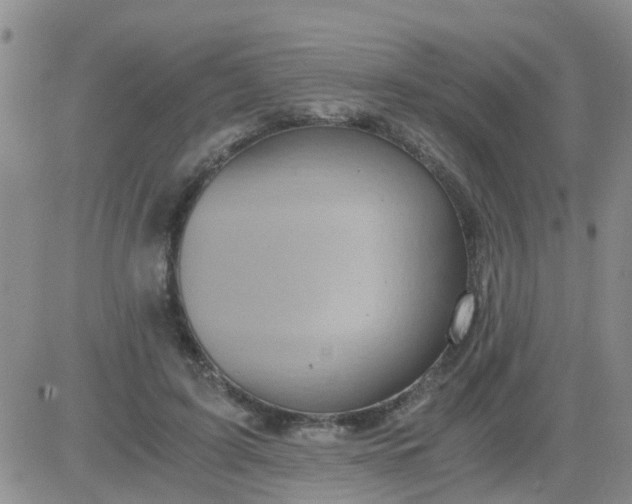 X0000084010595200703022033