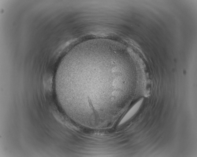 X0000084010596200703022033