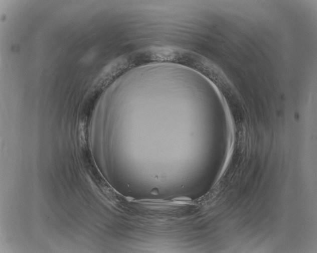 X0000084010598200703022033