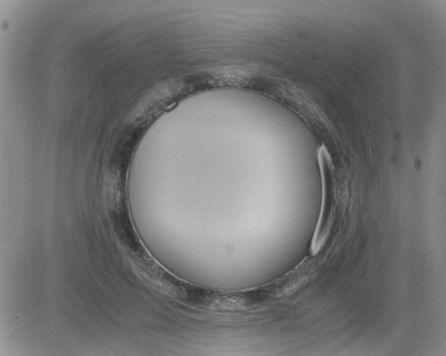 X0000084010599200703022033