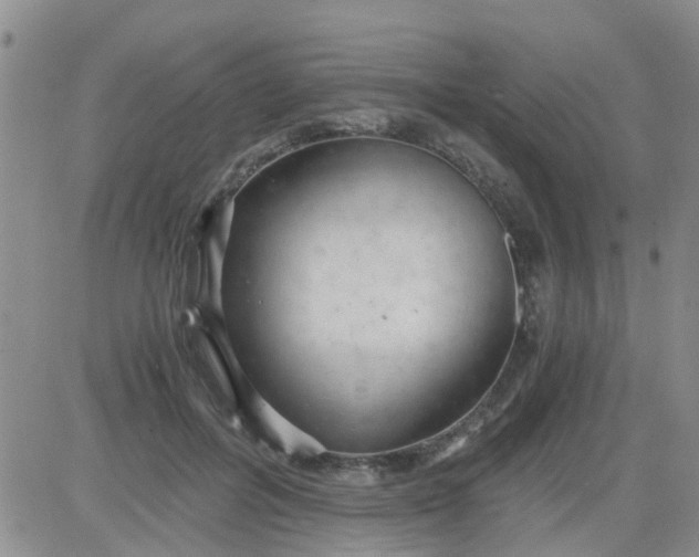 X0000084010600200703022033