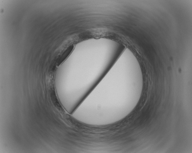 X0000084010601200703022033