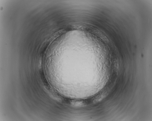 X0000084010602200703022033