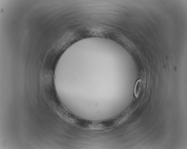 X0000084010603200703022033