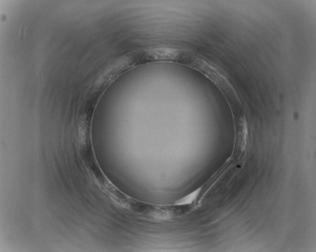 X0000084010604200703022033