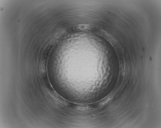 X0000084010606200703022033