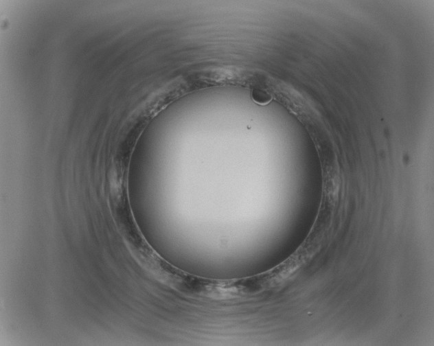 X0000084010607200703022033