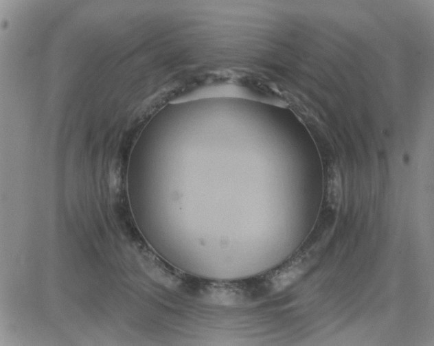 X0000084010608200703022033