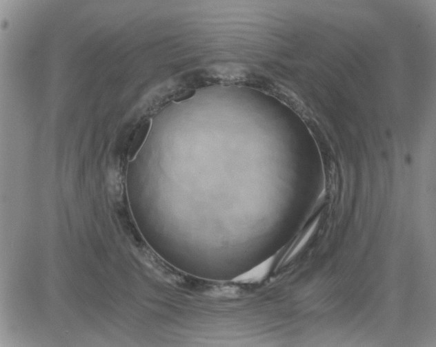 X0000084010609200703022033