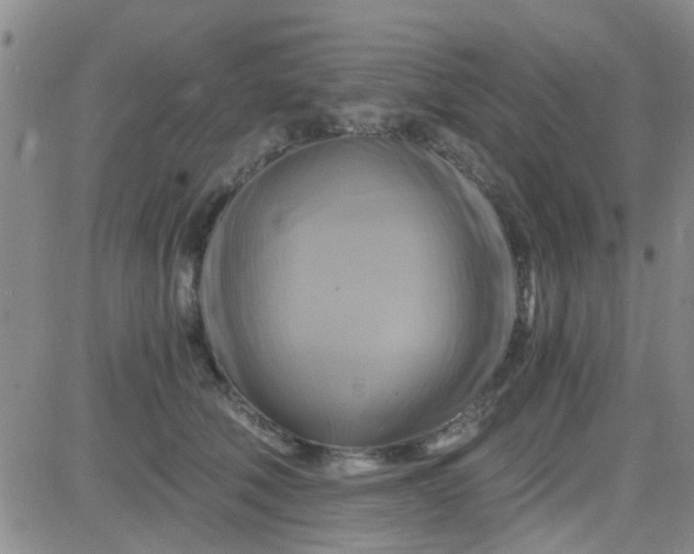 X0000084010610200703022033