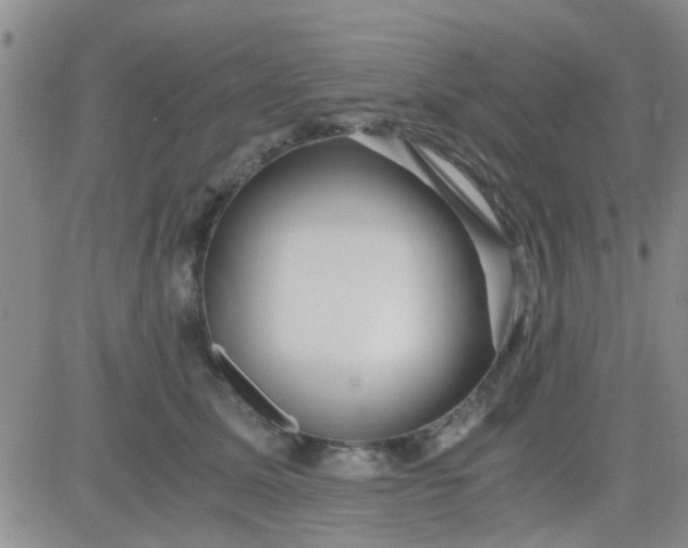 X0000084010611200703022033