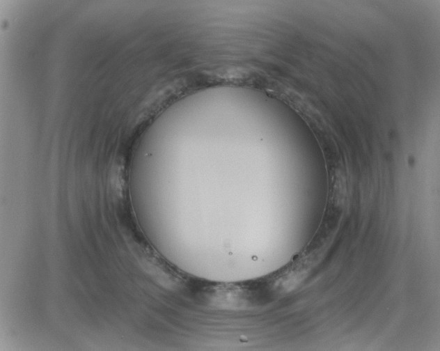 X0000084010612200703022033