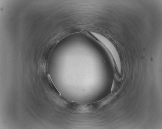 X0000084010613200703022033