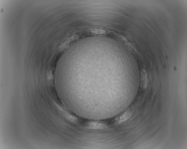 X0000084010614200703022033