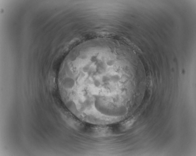 X0000084010615200703022033