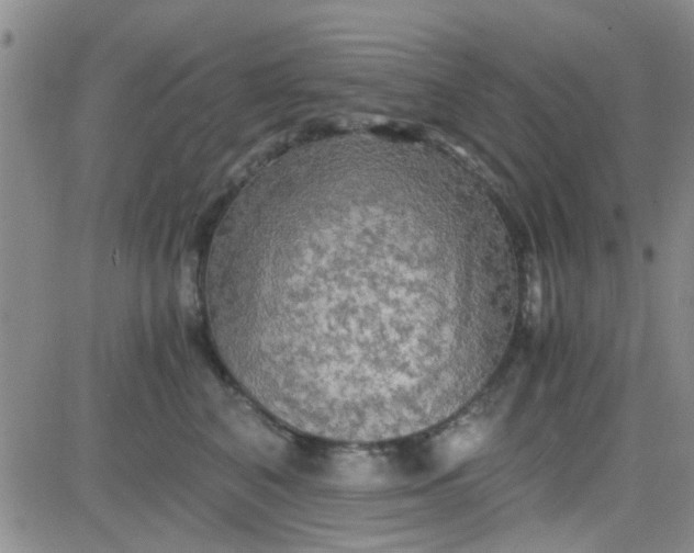 X0000084010616200703022033