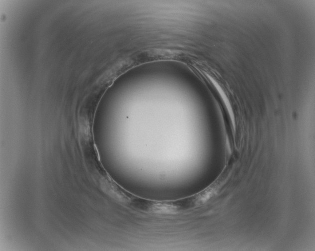 X0000084010617200703022033