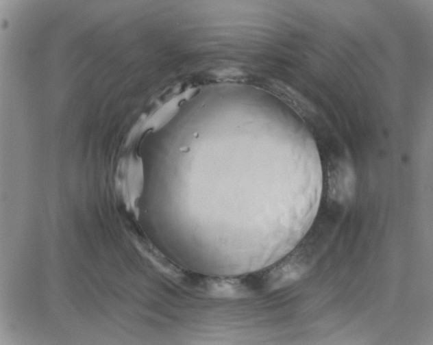 X0000084010618200703022033