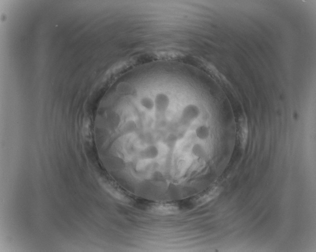 X0000084010619200703022033