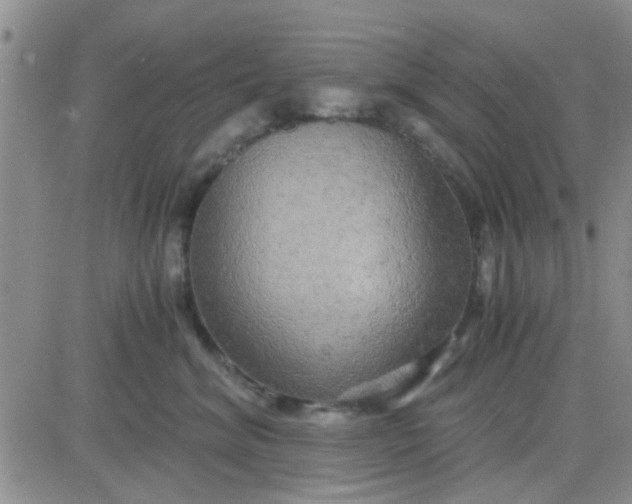 X0000084010620200703022033