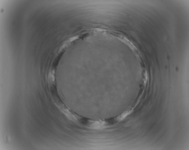 X0000084010621200703022033