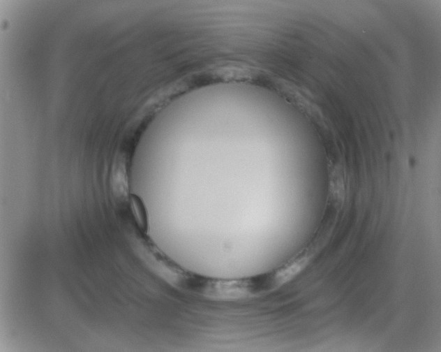 X0000084010622200703022033