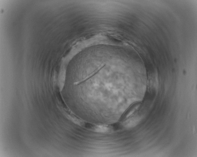 X0000084010623200703022033