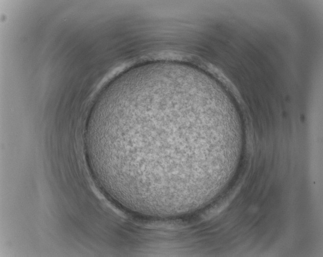 X0000084010625200703022032