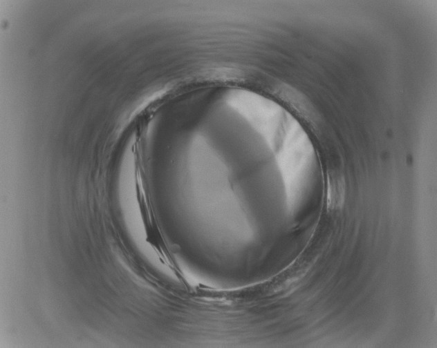 X0000084010627200703022032