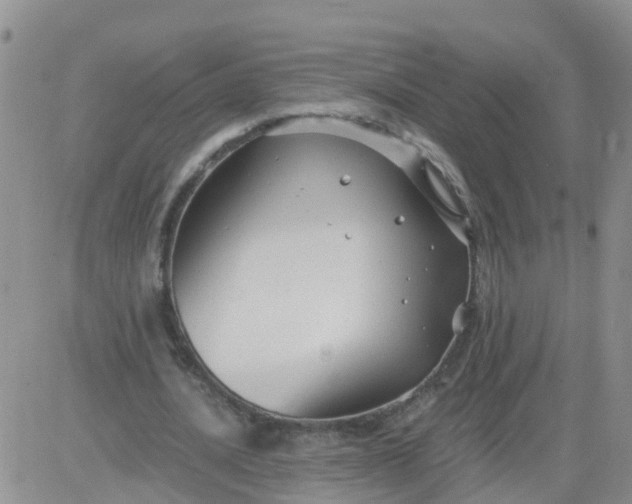 X0000084010628200703022032