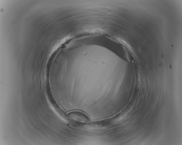 X0000084010630200703022032