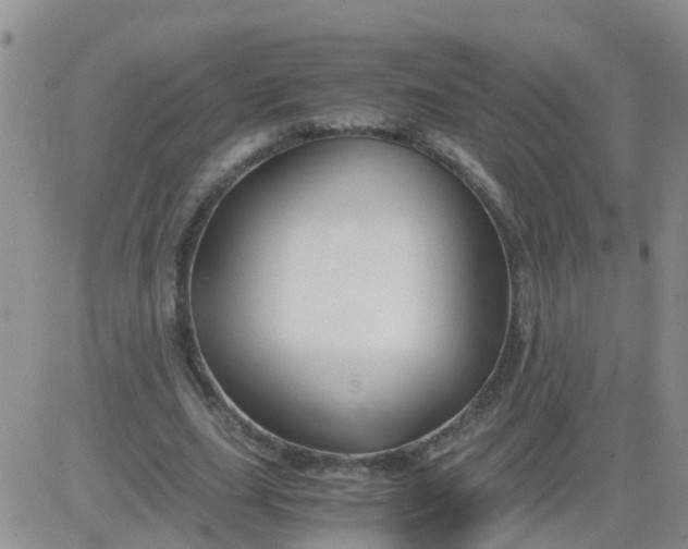 X0000084010631200703022032