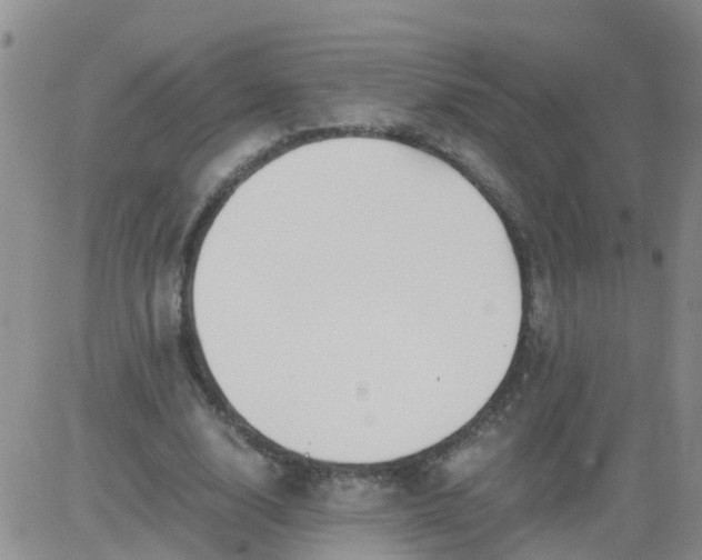 X0000084010632200703022032