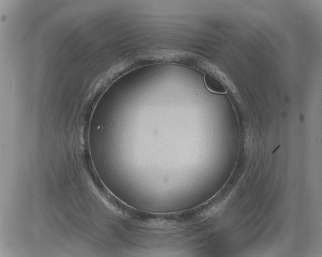 X0000084010633200703022032