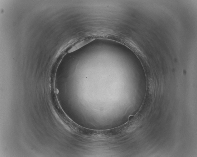 X0000084010634200703022032