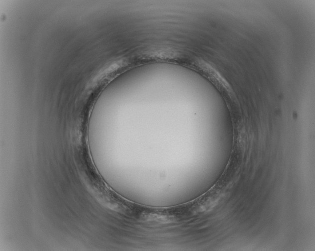 X0000084010635200703022032