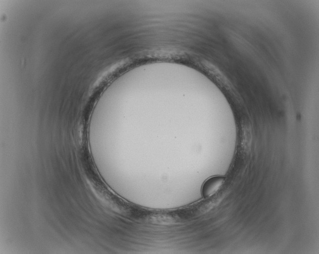 X0000084010636200703022032