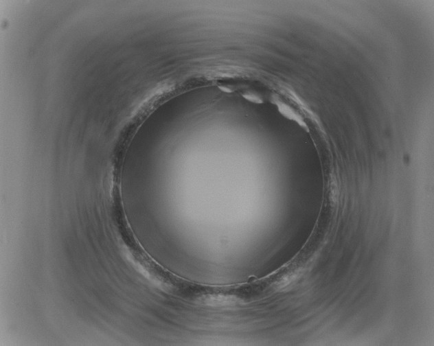 X0000084010637200703022032