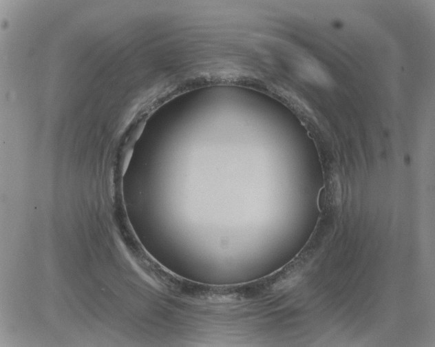 X0000084010638200703022032