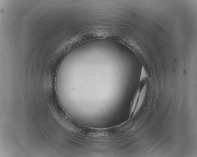 X0000084010639200703022032