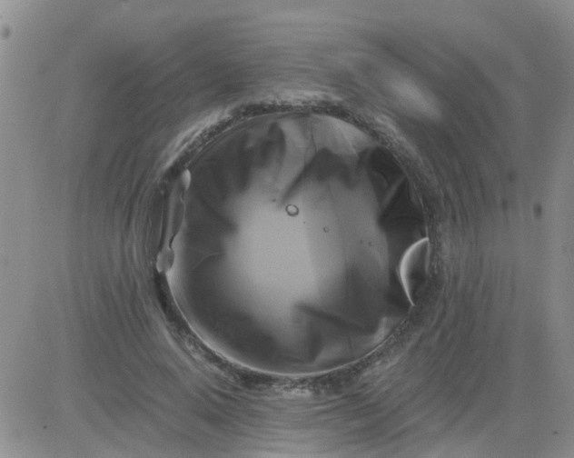 X0000084010640200703022032