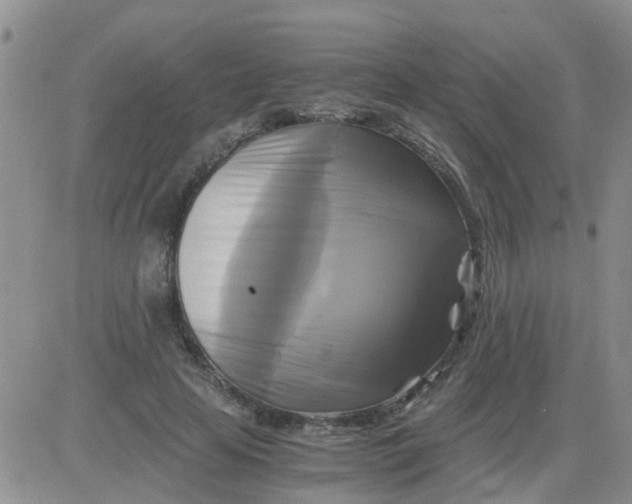 X0000084010641200703022032