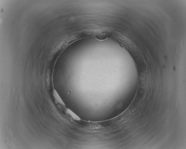 X0000084010642200703022032