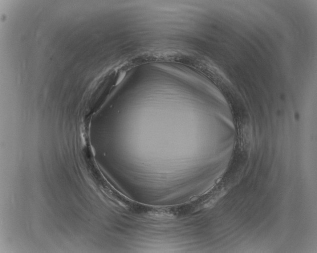 X0000084010644200703022032