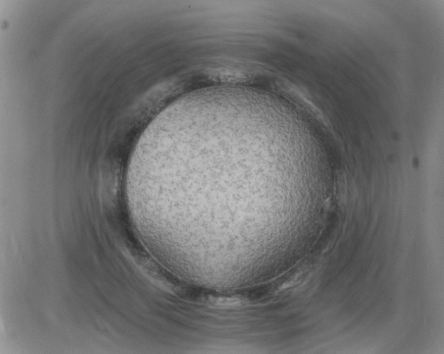 X0000084010645200703022032