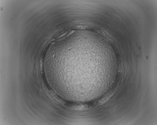 X0000084010646200703022032