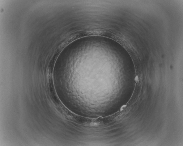 X0000084010647200703022032